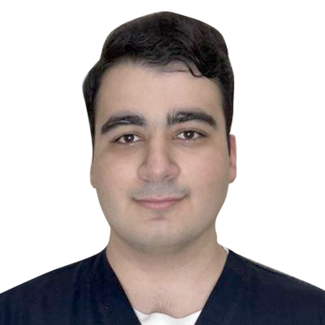 Апресян Микаэл Арменович